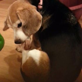 カユカユなめなめの画像