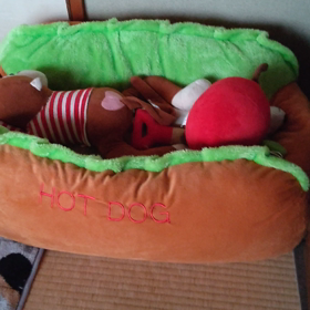 ぬいぐるみ検証の画像