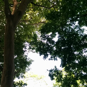 帰りましょの画像