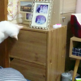 現行犯！の画像