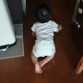 【10m11d】高速ハイハイ☆の画像