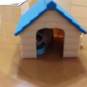 パグのおもちゃの画像