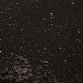 雪が降ると喜ぶのは・・・！？の画像