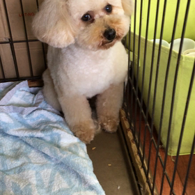 今日も、晴天 （╹◡╹）の画像