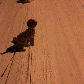 ゆ〜き〜やこんこの画像