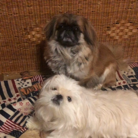 お疲れ〜の画像