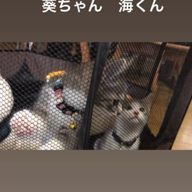 新入りです^ ^の画像