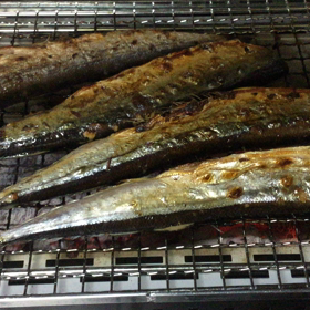 臨時休業の画像
