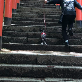 まある初めてのお泊り旅行 竹田城跡②の画像