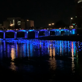 岡崎市　泰平の祈りの画像