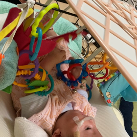 ”ニュー　ベビージム”の画像