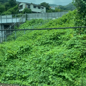 土砂崩れ！の画像