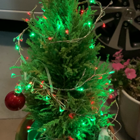 クリスマスに近づいてみた(^^♪の画像