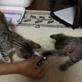 懐かしの動画の画像