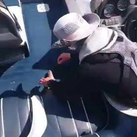 突然のお客さん@モギハノン探険隊ムービーの画像