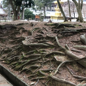 二月堂参詣道。の画像