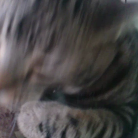 眠いはずなのにの画像