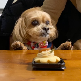 新年ですの  画像