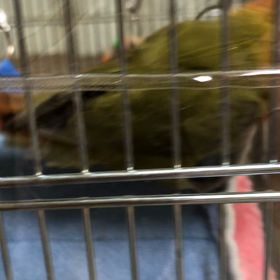 負けず嫌いな人の画像