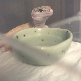 飲まねーのかよっ笑笑の画像