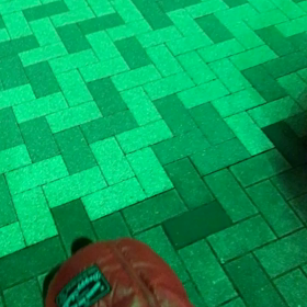 ベルちゃま！サーカス入り？の画像