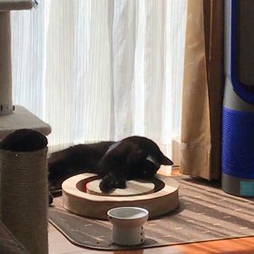 一人遊び、からのの画像