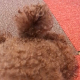 １秒で表現する？の画像