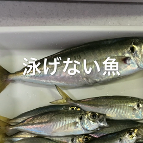 野猿feat.CAのやーつの画像