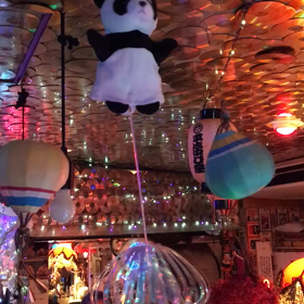 ようかんちゃんの画像