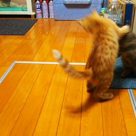 今日の王 斎 幸♪の画像