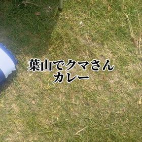 今日の葉山ではの画像