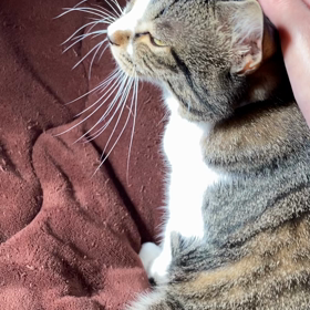 過集中の防ぎ方の画像