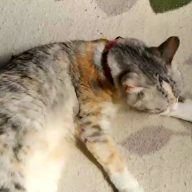 エステtime～(^^;の画像