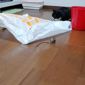 いい天気連続！！元気モード！の画像