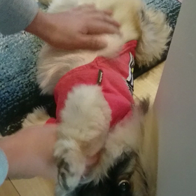 こんばんはー②の画像