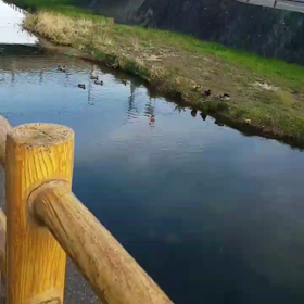 ぶらぶらとお散歩の画像