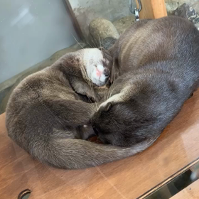 何年ぶり？の画像