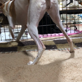 高見の見物の画像