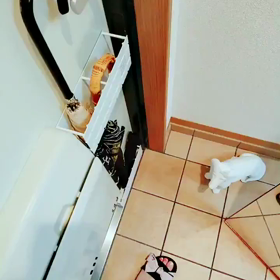 お部屋の画像