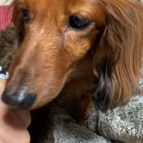 これ撮ってーの画像