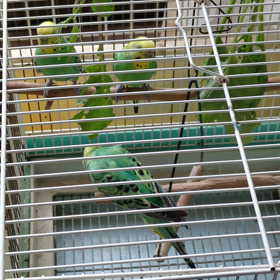 お食べ☺️の画像