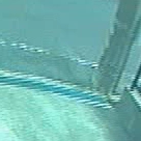 猫は、うちを避けて行った！の画像