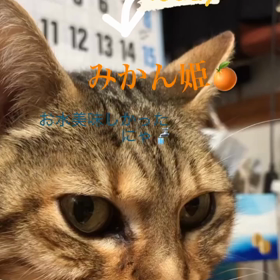 2022年も頑張ってますの画像