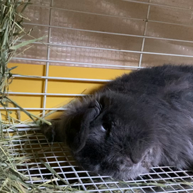 9月スタートと爆睡みなと君の画像