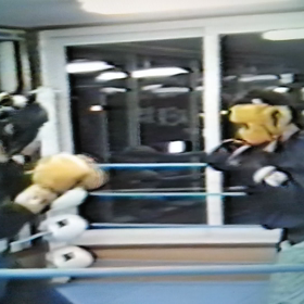 タミチャレ！の画像