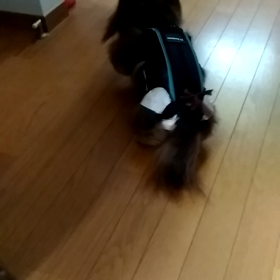 少し歩けるようにの画像