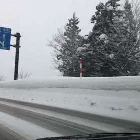 恋の予感…なわけない！の画像