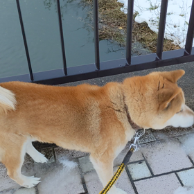 ハッピークリスマスの画像