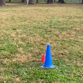 1000m２組目③の画像