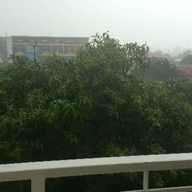 Rainy day Yesterday （；゜０゜）の画像